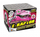 E-RAPTOR