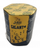 GIGANT 4 Iskra