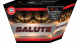 SALUTE